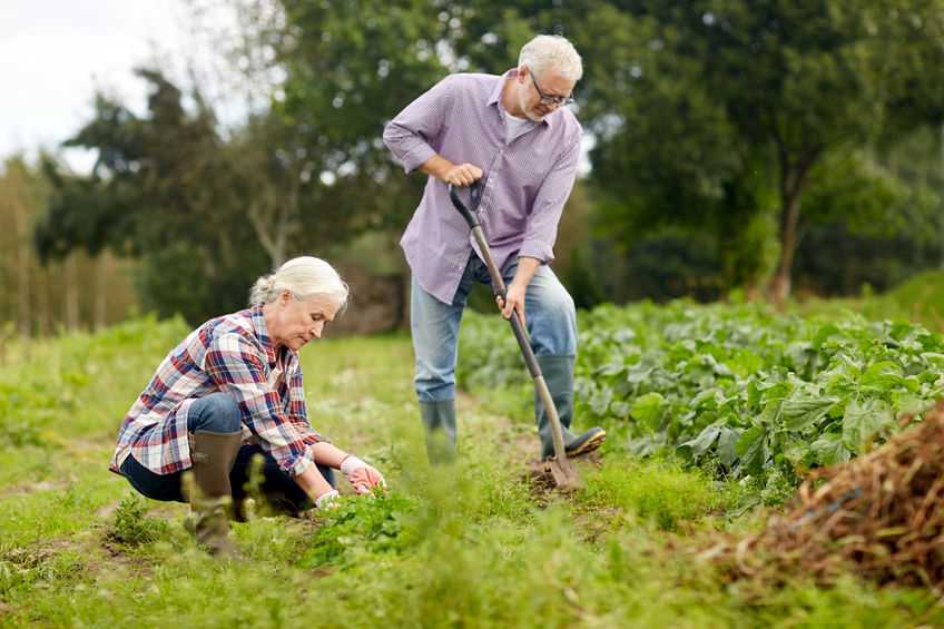 jardinage et mal de dos